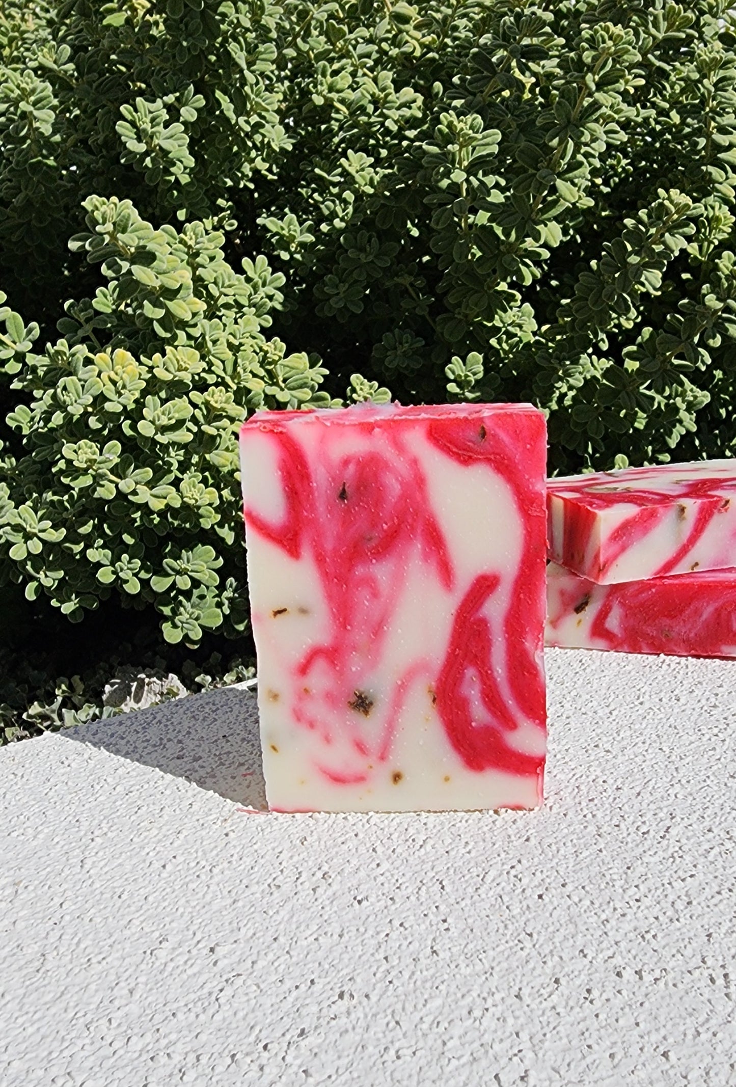 Limited Edition Winter Rose