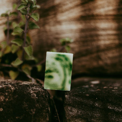 Lemongrass & Tea Tree 100g